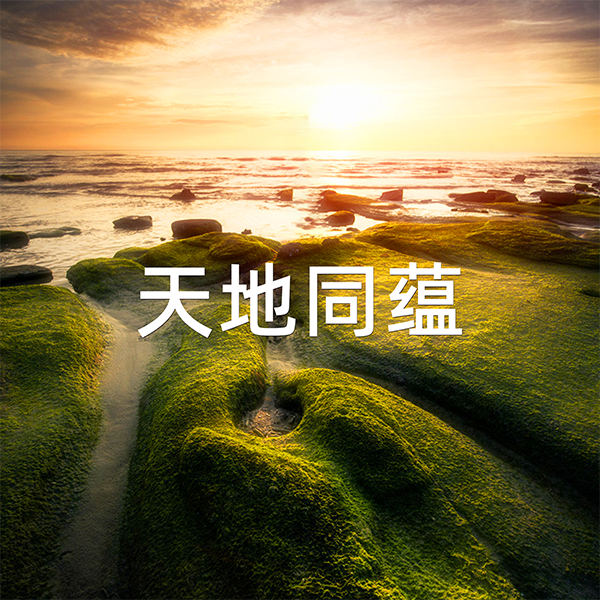 天地同蕴 天地同蕴