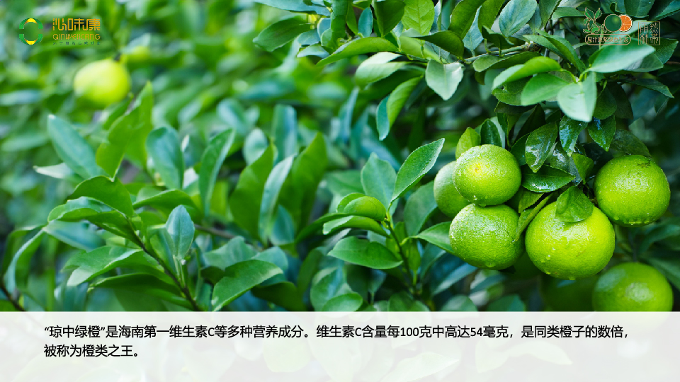 未标题-1-03.jpg